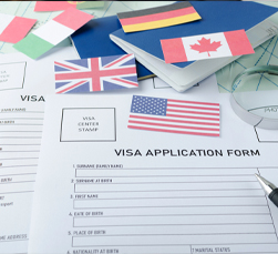 Comprehensive visa Support